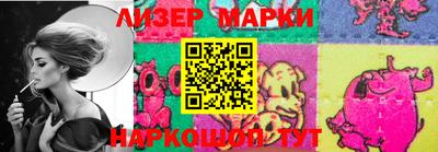 стаф Можга