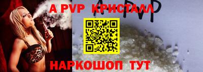 стаф Можга