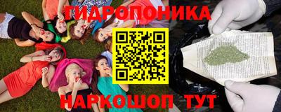 стаф Можга