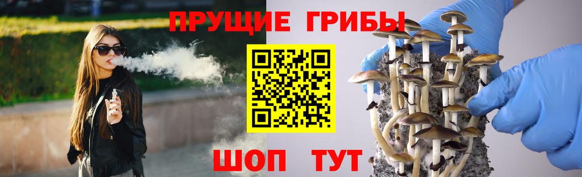 Карабулак  Галлюциногенные грибы Magic Shrooms  Вход с VPN  Псилоцибиновые грибы Psilocybe 